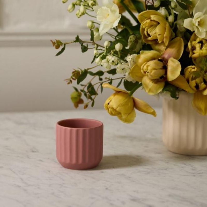 Beam Pot – 3.2 (pink)