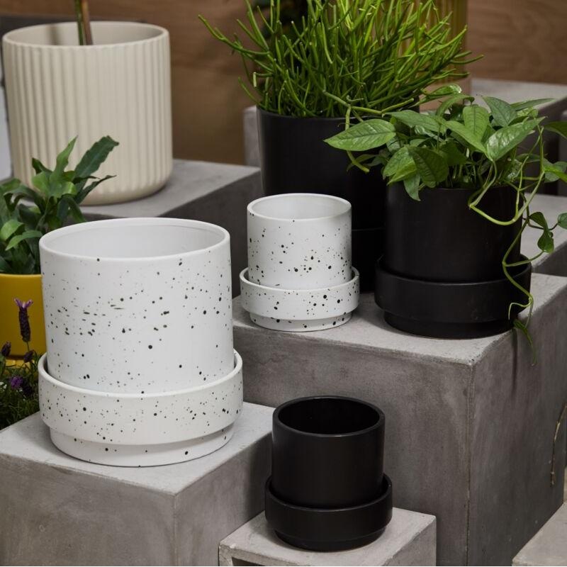 Claxton Pot – 10