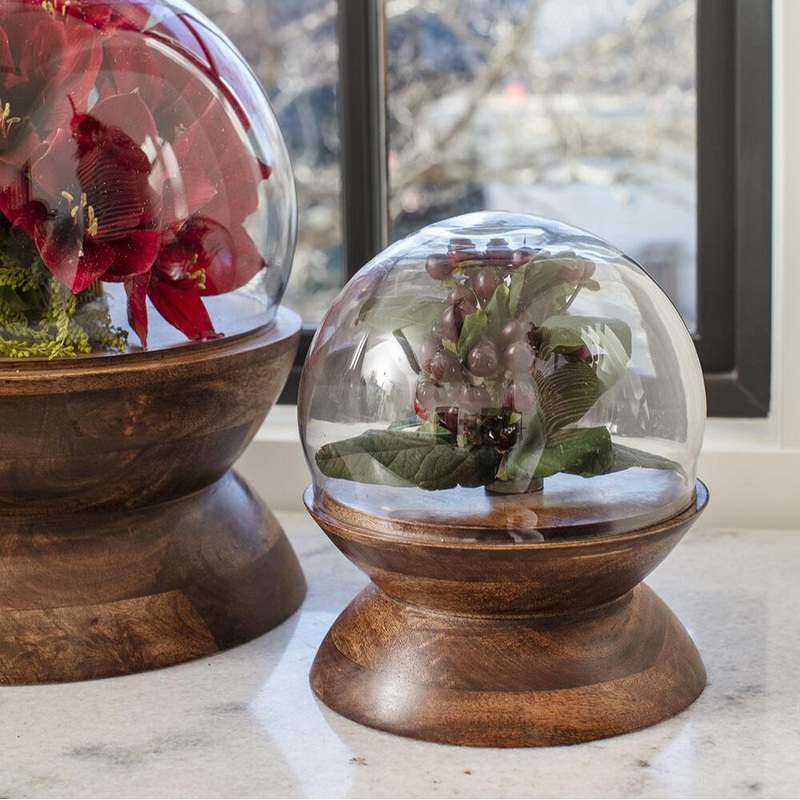 Globe Cloche – 8