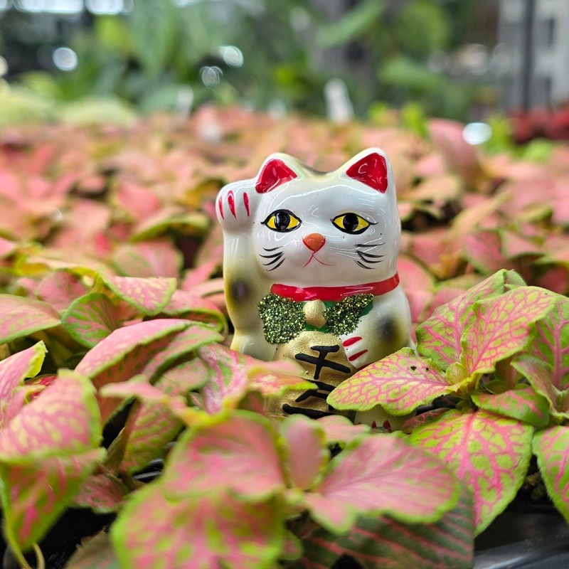 Maneki Neko – glitter|Black|White