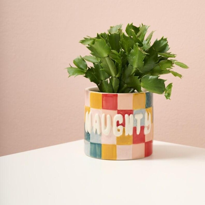 Naughty or Nice Pot – 4.25