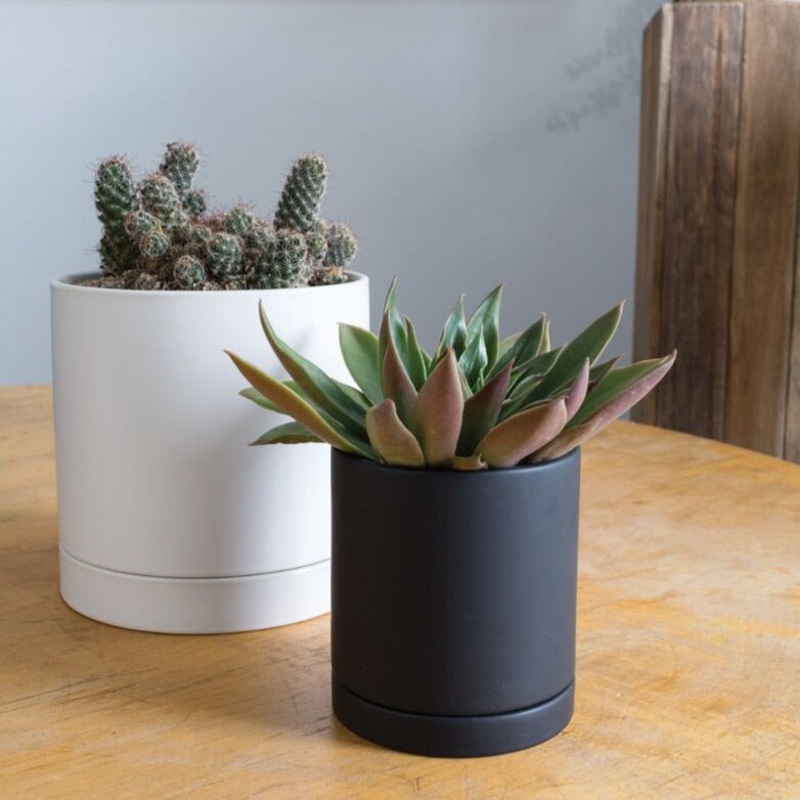 Romey – 4.25 black