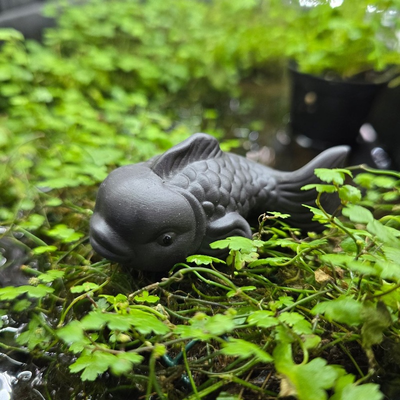 Tea Pet – Fish  (black)