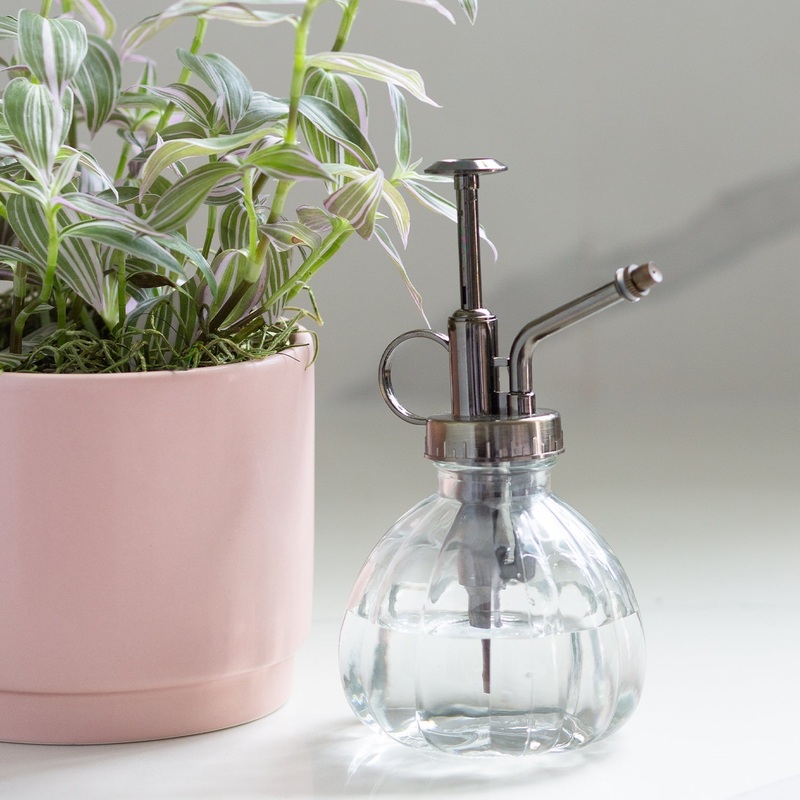 Vintage plant mister – Clear