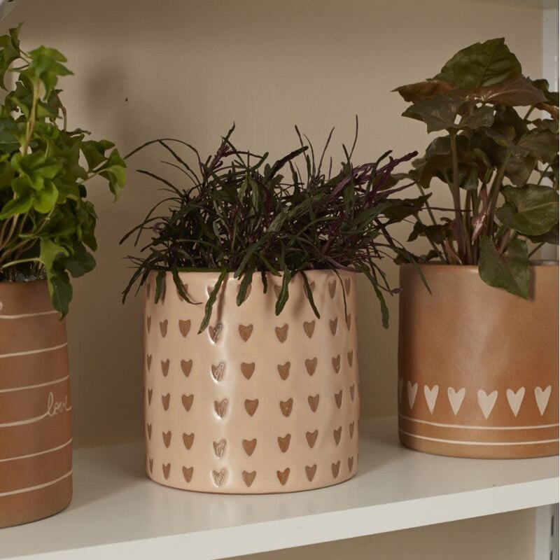 Abound pot – 5.5