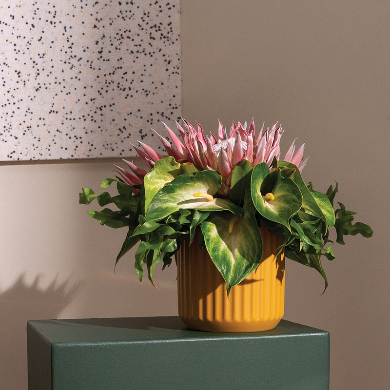 Beam Pot – 7 (Ochre)