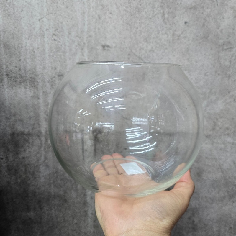 Bolla Terarium Glass Bowl – 6