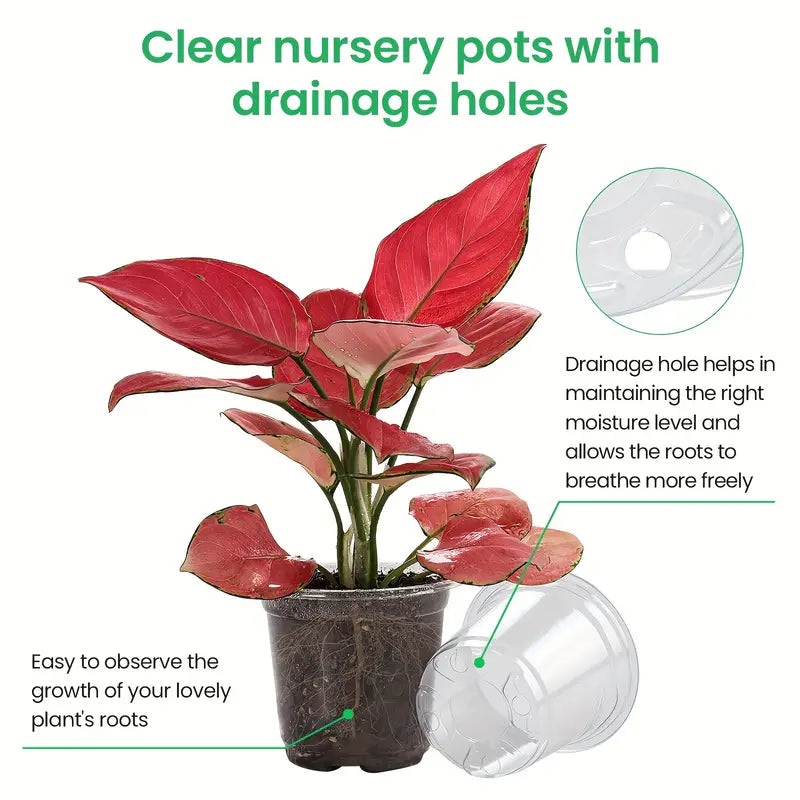 Clear Nursery Planters|3.5|4|5|6.7