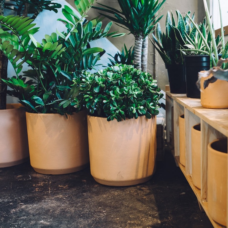 Deep Planter – terra cotta 6