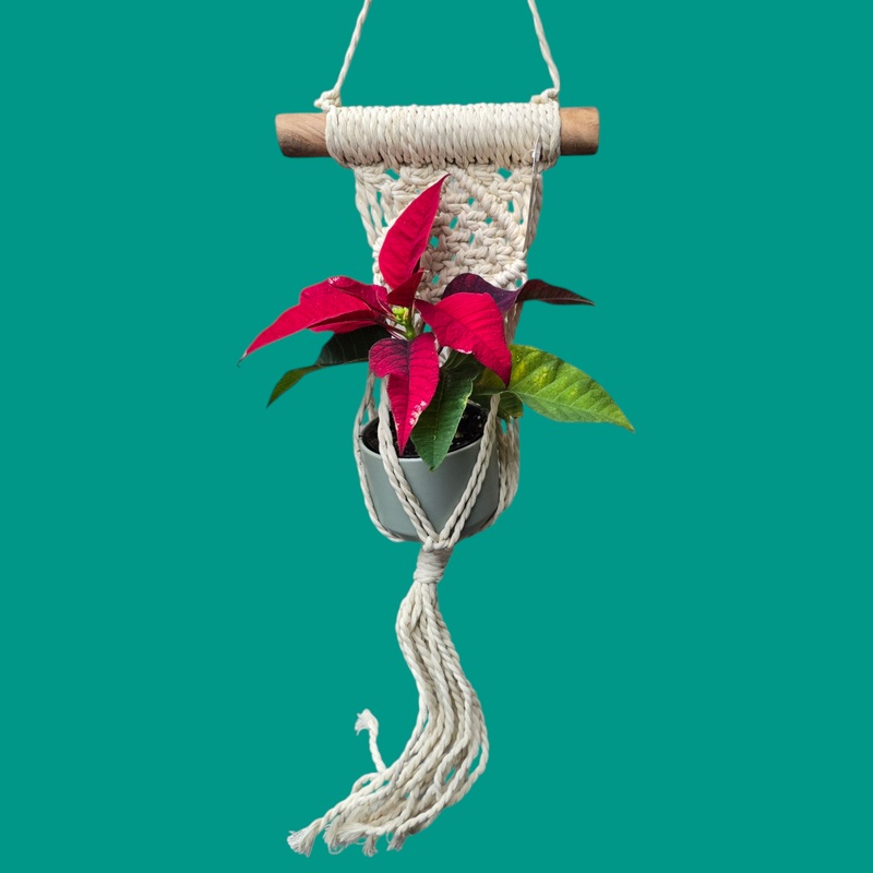 Macrame Hanging – 15