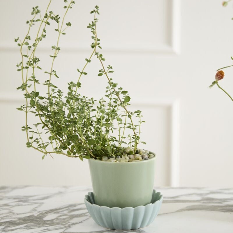 Springvale Pot – Light Green