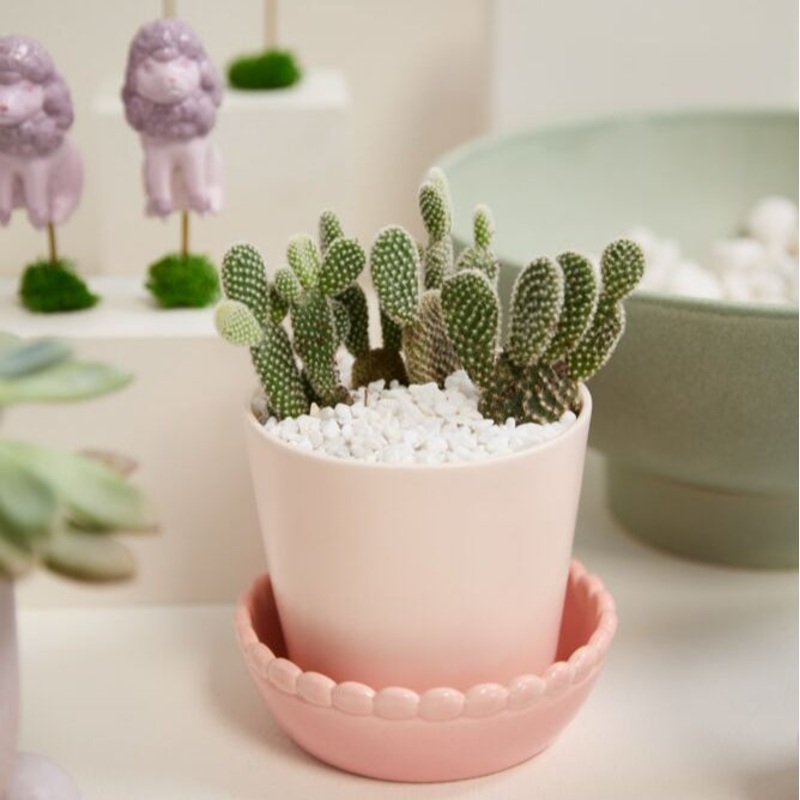 Springvale Pot – Light Pink
