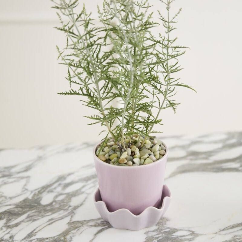 Springvale Pot – Light Purple