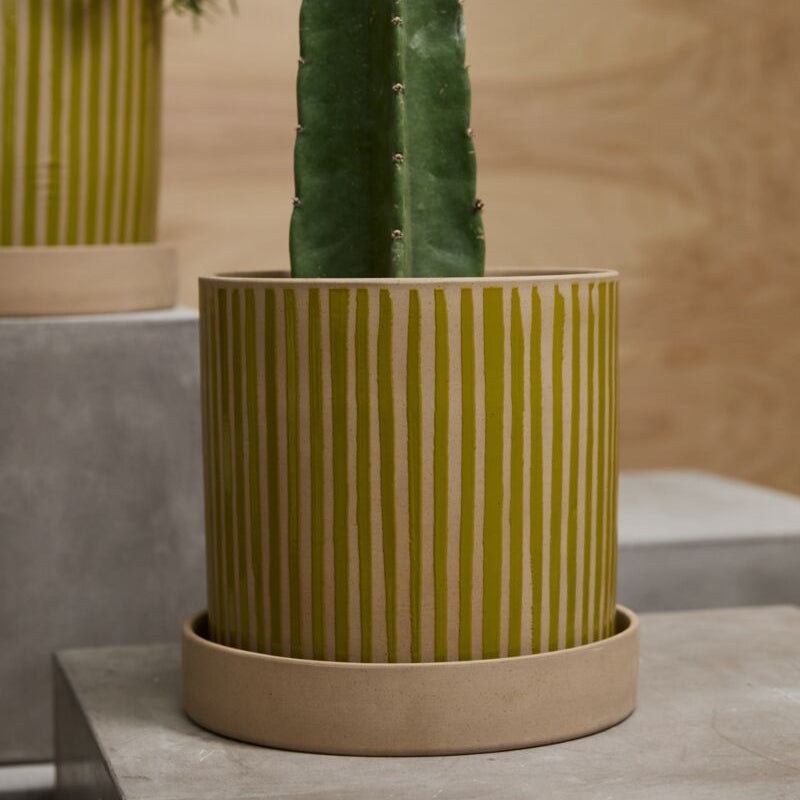 Sullivan Pot – 11.25
