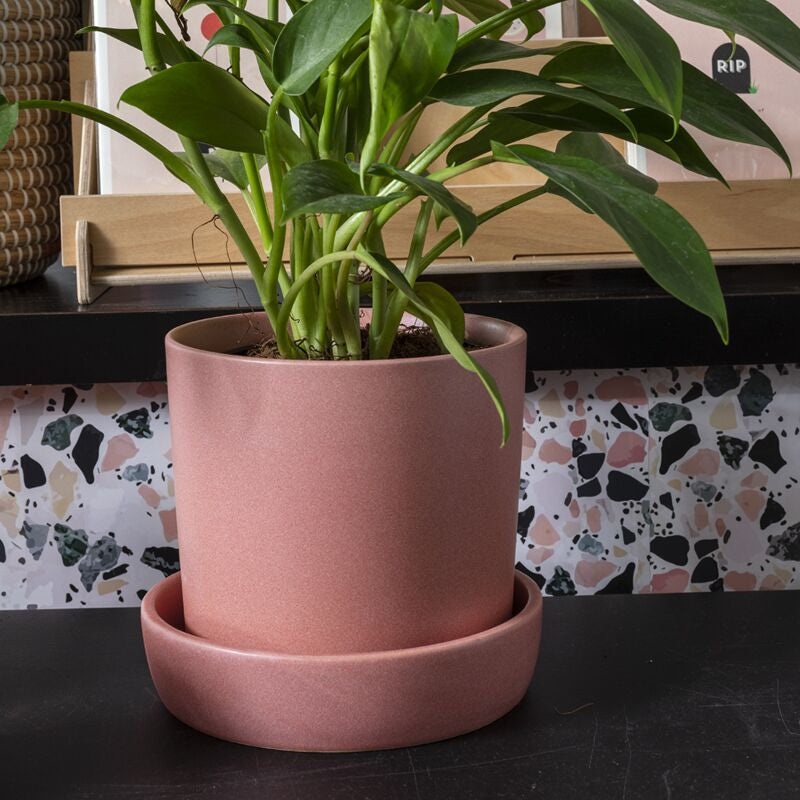 Watson Pot (pink) – 6.75|PW|PW