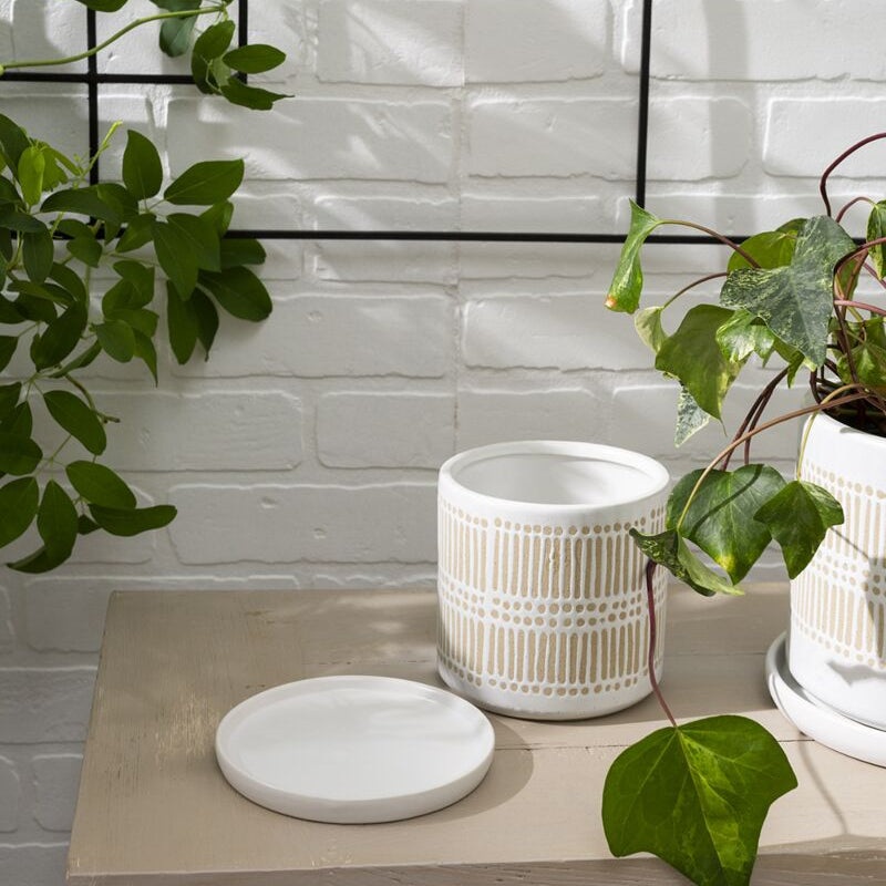 Linden Pot – 5.25