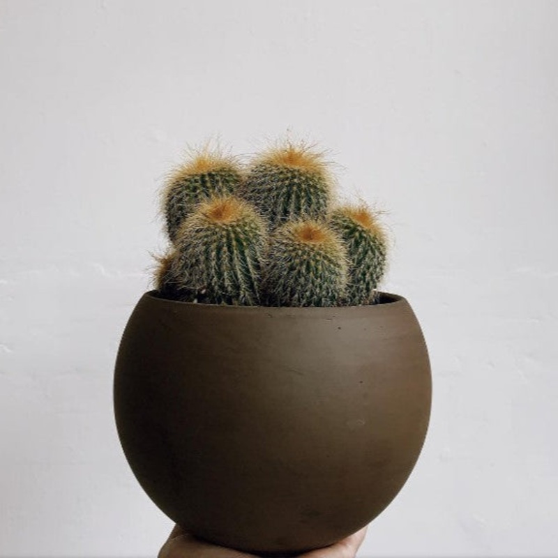 Luna sphere cachepot – 6 (dark marble)