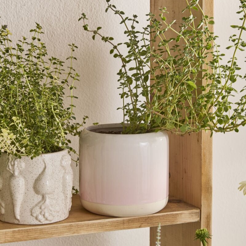 Skyway Pot -5.25 (light pink)