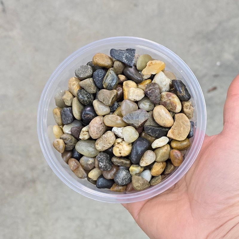 Terrarium rocks – 8 oz