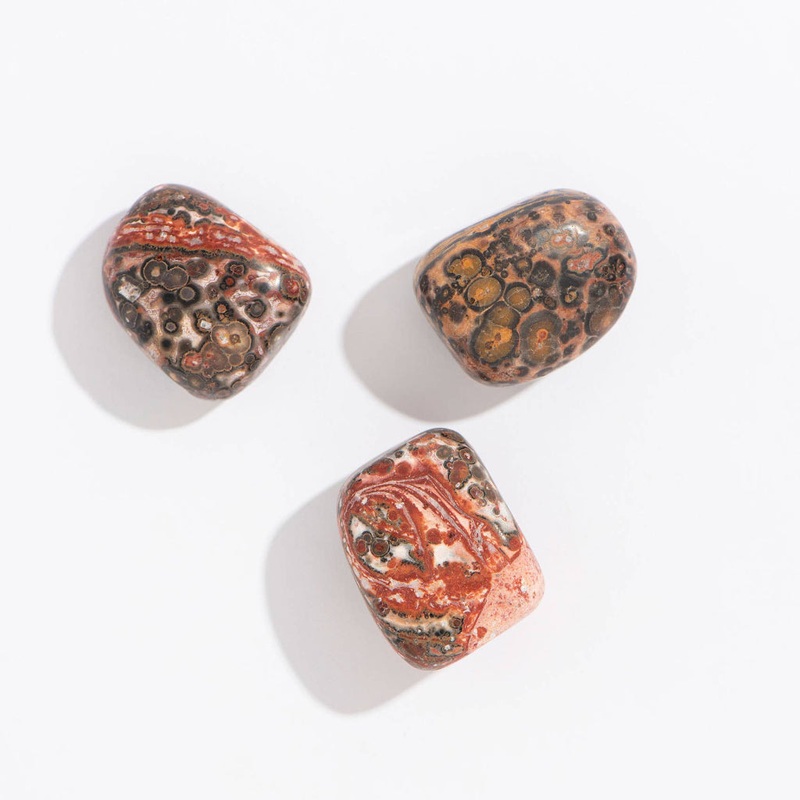 Tumbled Leopard Skin Jasper Crystals – 1