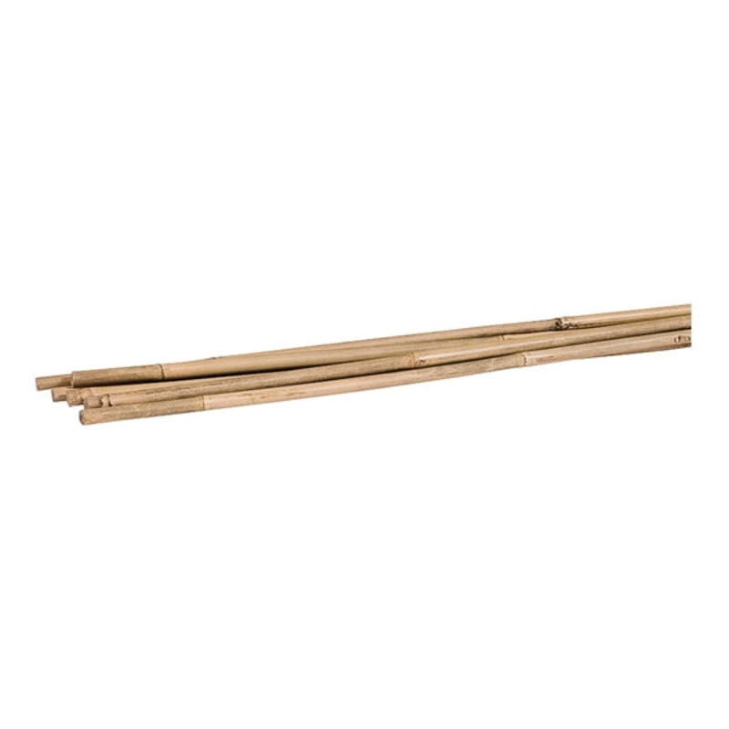 Bamboo stake – 6 ft