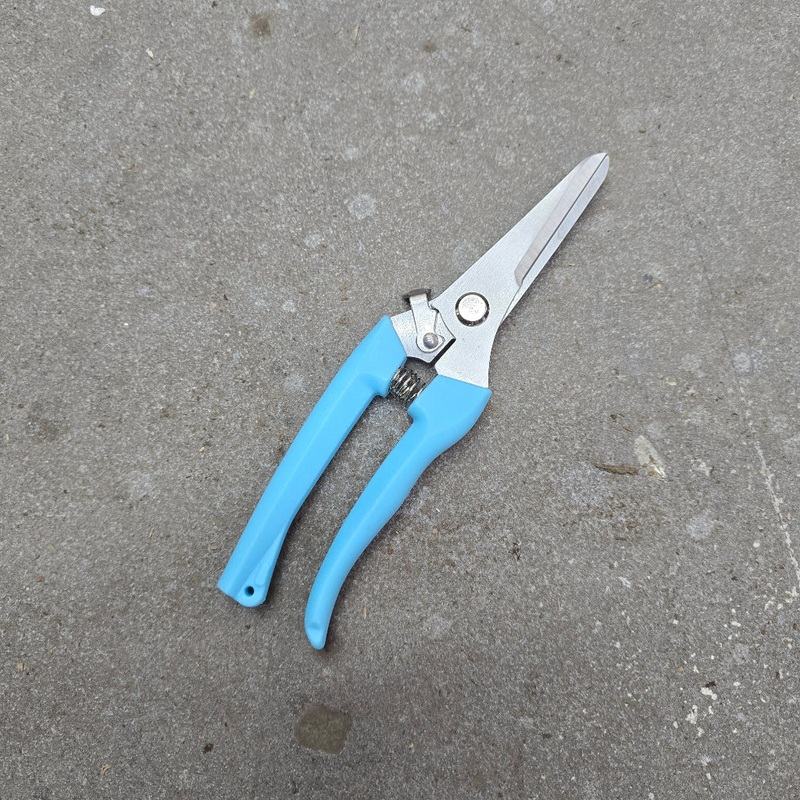 Garden Pruner – Blue