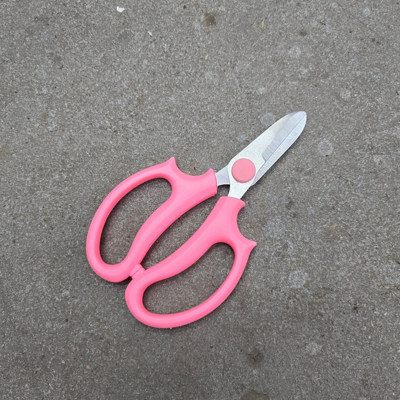 Garden Shears|Pink|Blue|Assorted