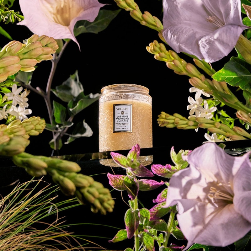 Jasmine Midnight Blooms – 5.5 oz small jar