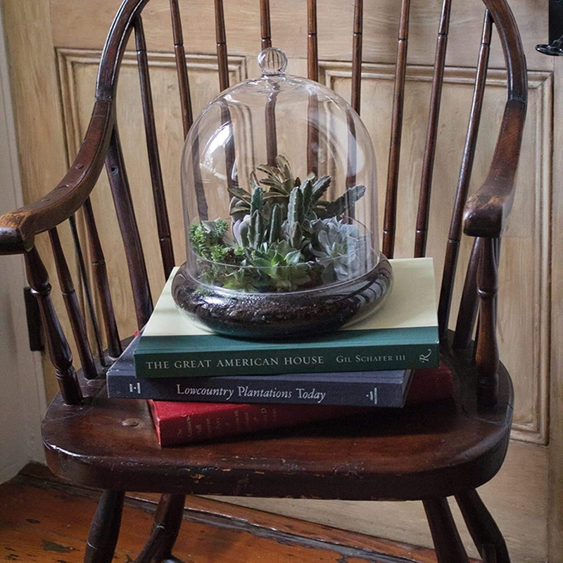 Terrarium Cloche – 10