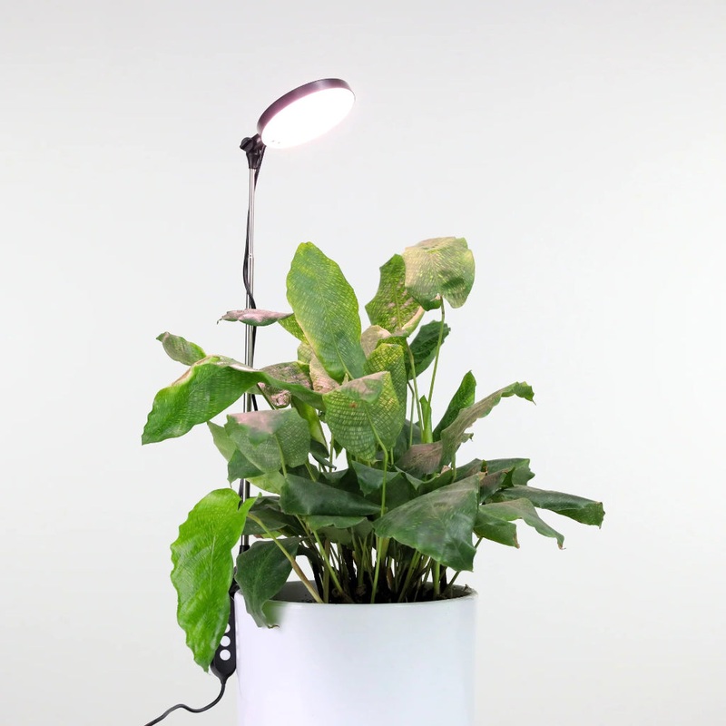 Mossify LED Plant Light – 28