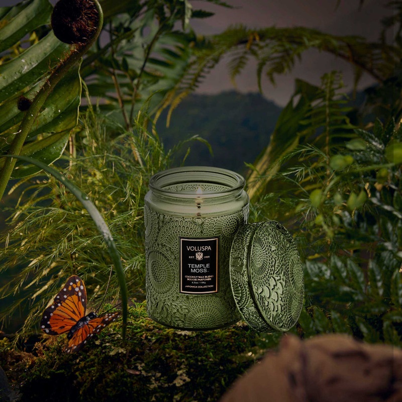 Temple Moss – 5.5 oz small jar