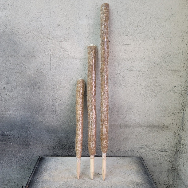 Coir Moss Pole – 48