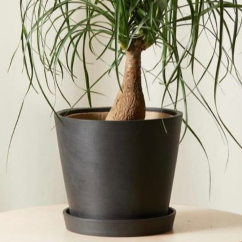Eco-tech – Black – 10
