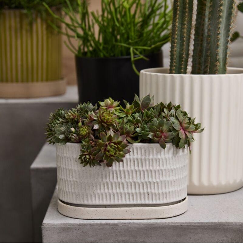 Zelle Planter – 8 (white)