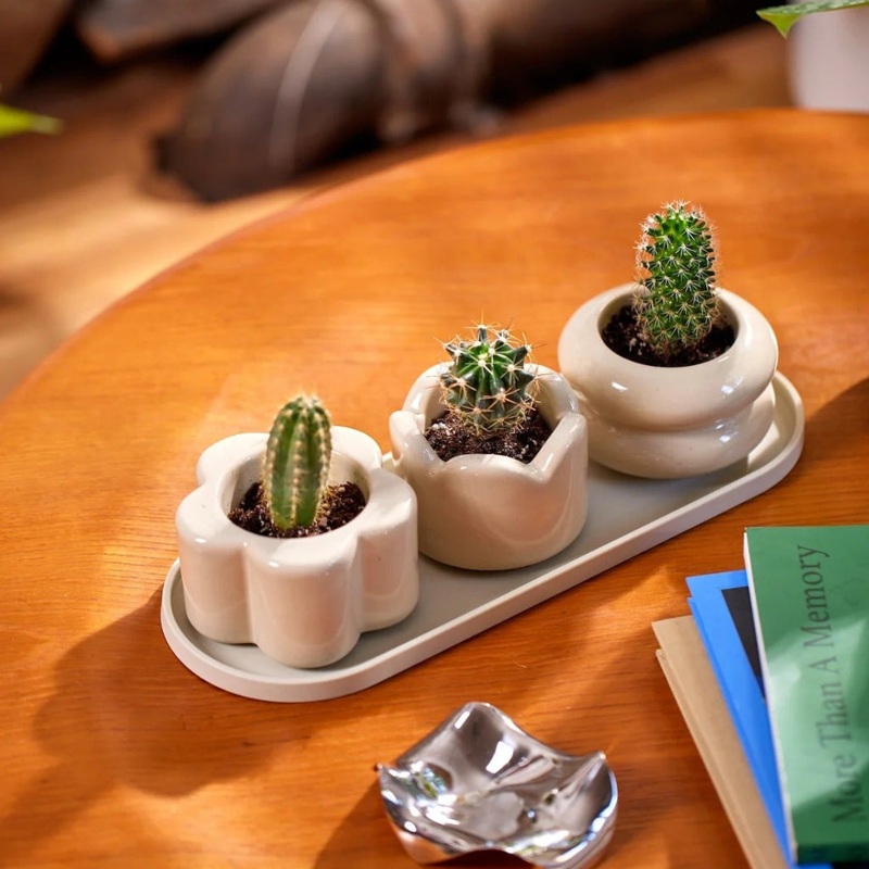 Mini Planter Trio|Cornflower|Lime|Oat|Poppy