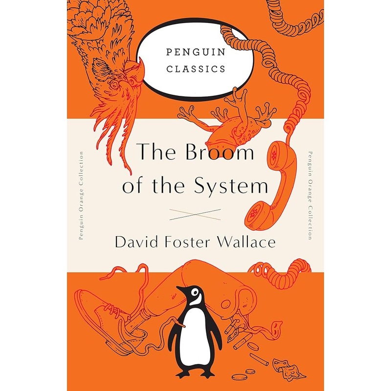 The Broom of the System