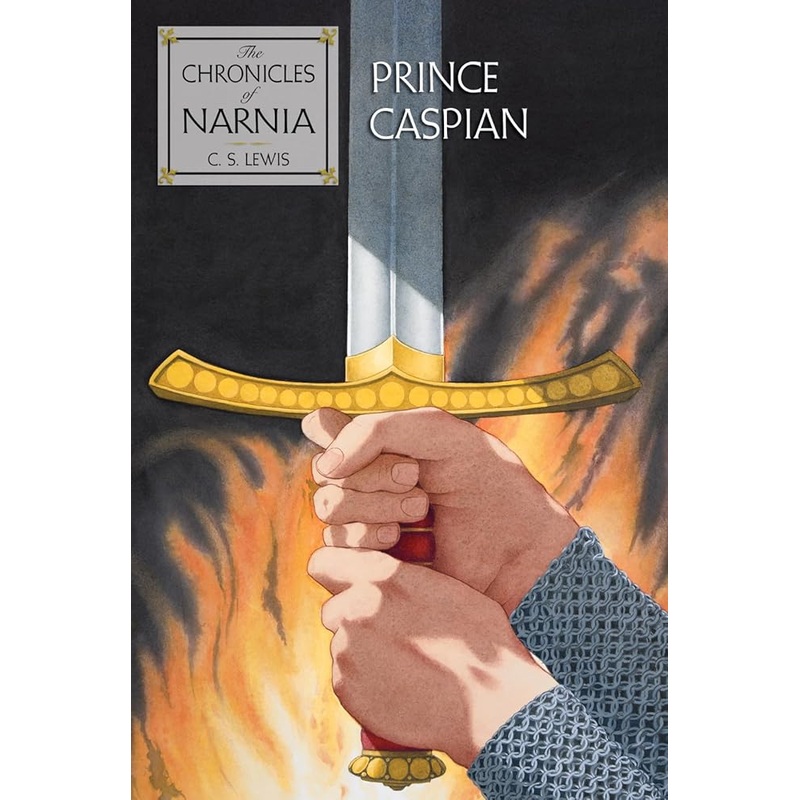 Prince Caspian: The Return to Narnia