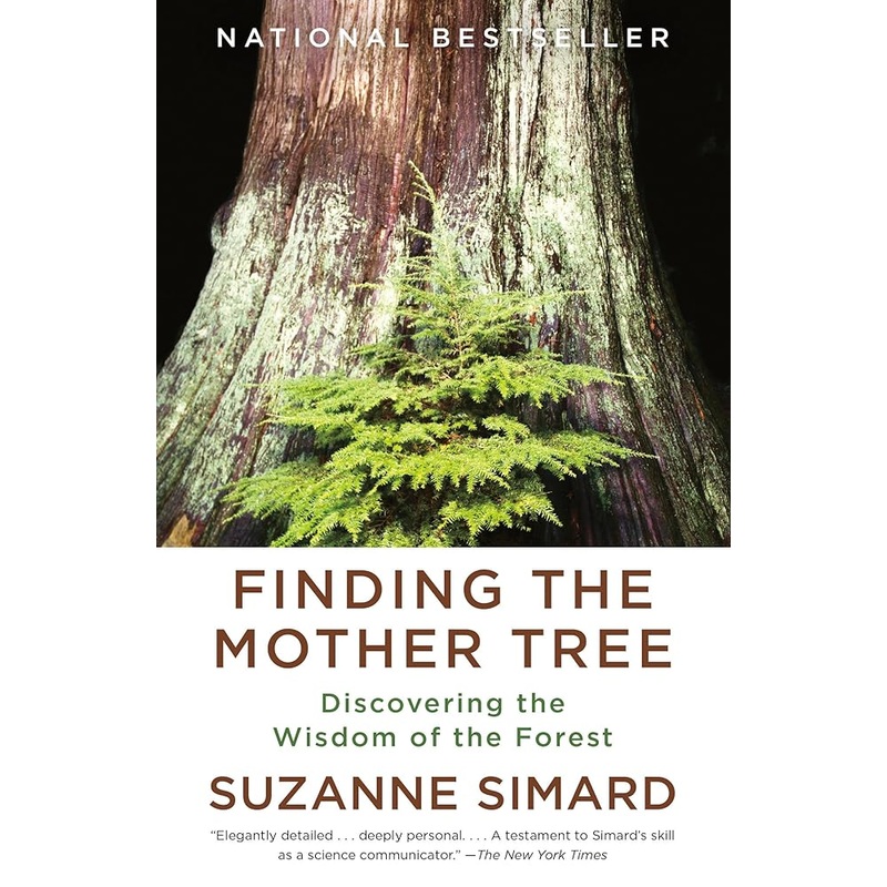Finding the Mother Tree