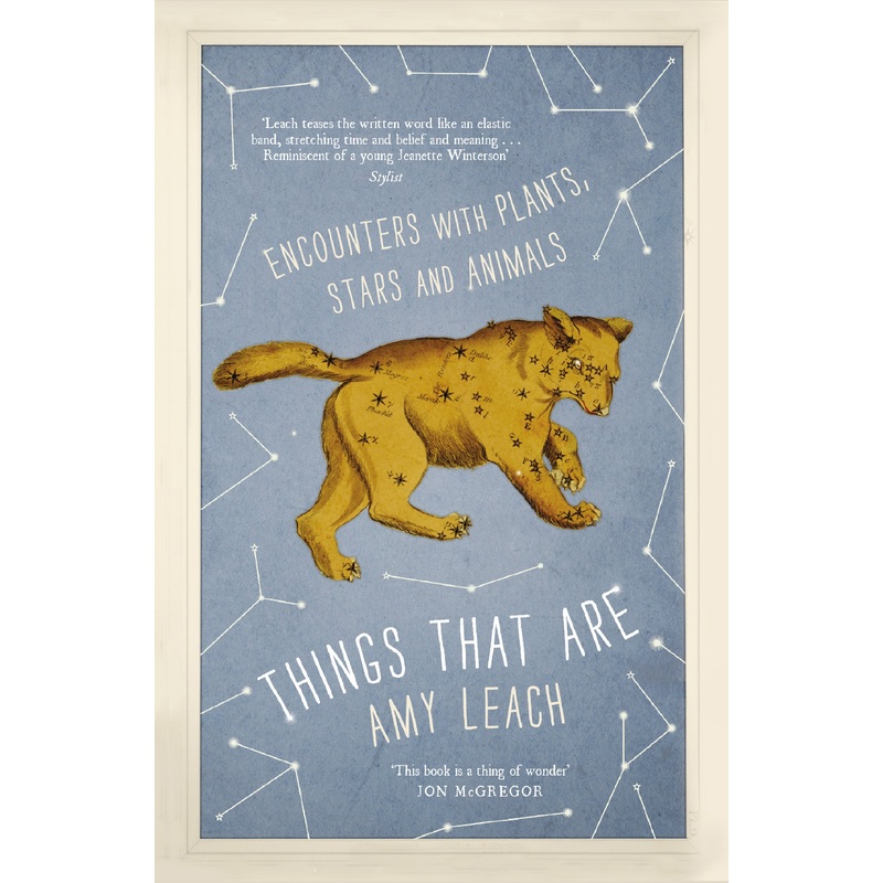 Things That Are: Encounters with Plants, Stars and Animals