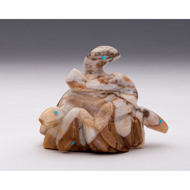 A Group Of Reptiles|Snake|Tijilite