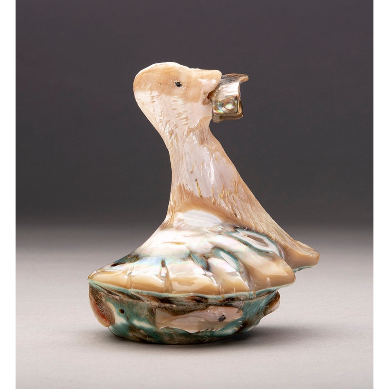 A Water Bird With Fish|Bird|Shell