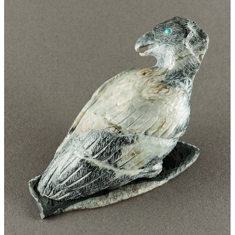 A Young Raptor|Bird|Picasso Marble