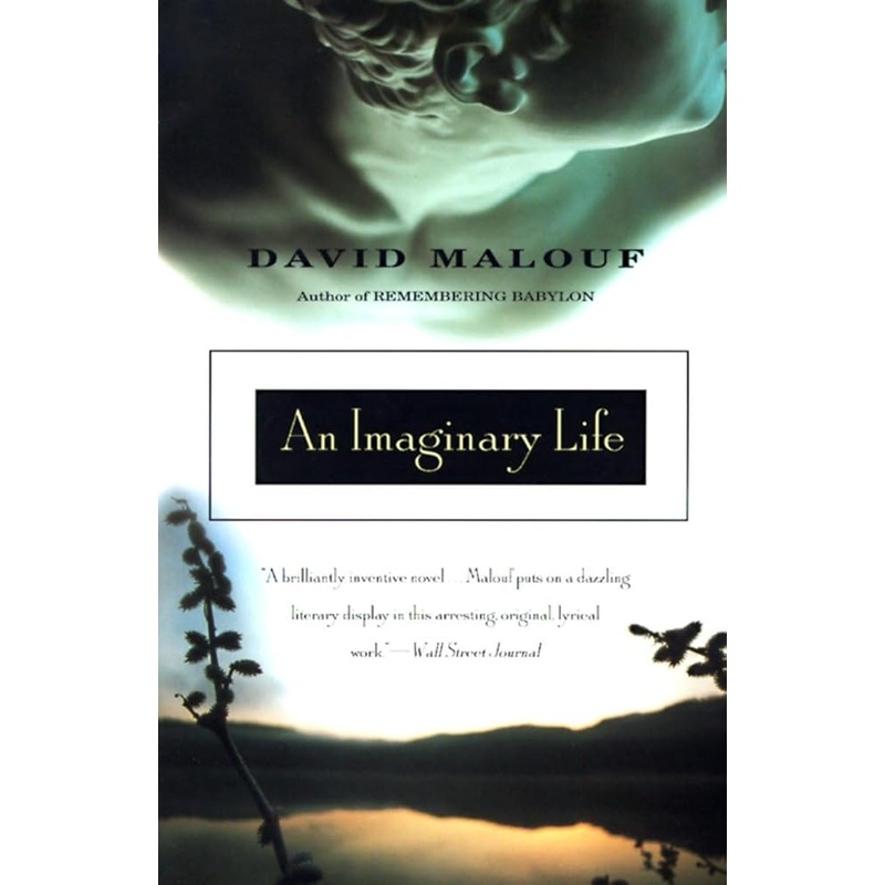 An Imaginary Life