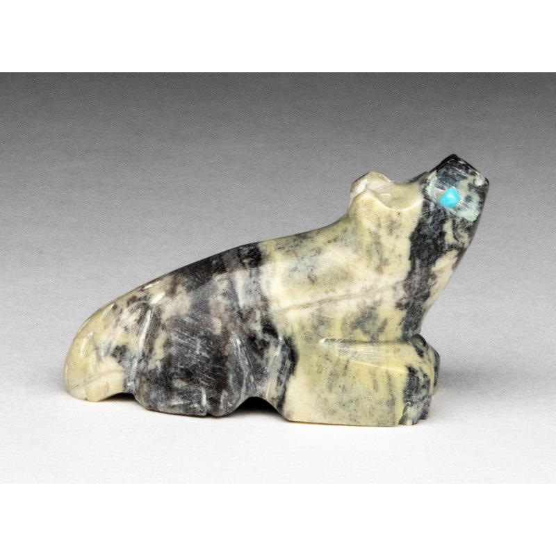 Coyote Calling|Coyote|Serpentine