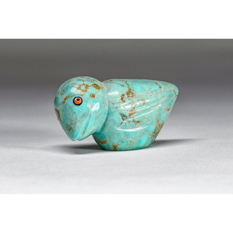Inquisitive Turquoise Bird With Red Eyes