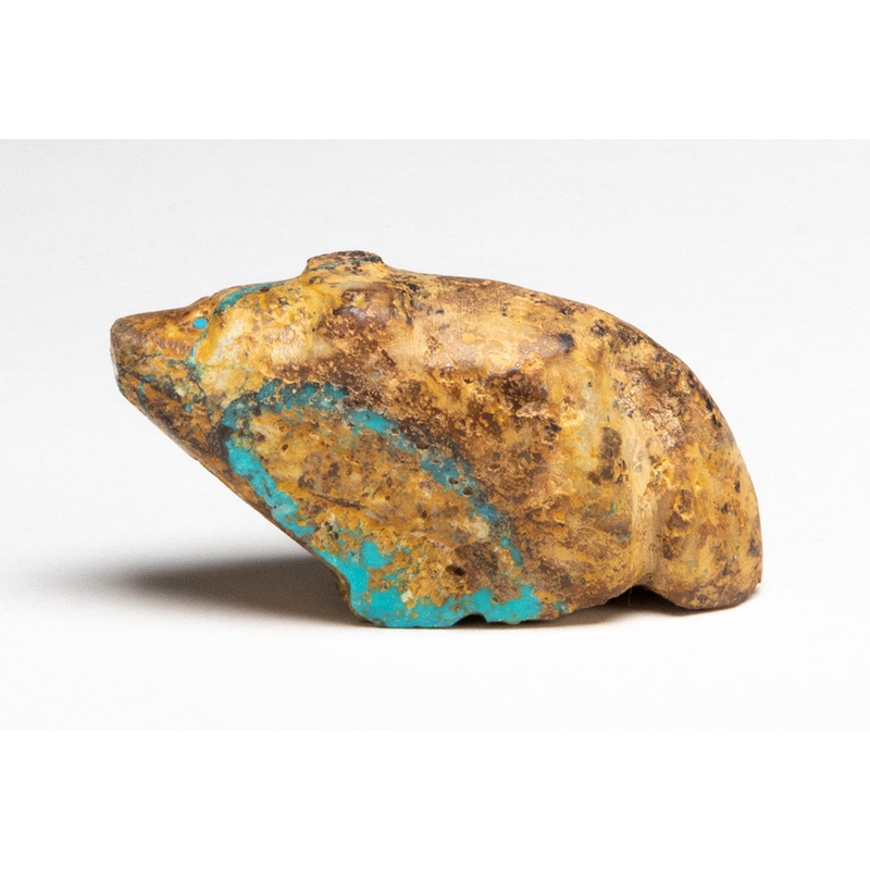 Royston Turquoise Canine|Bushytail|Turquoise