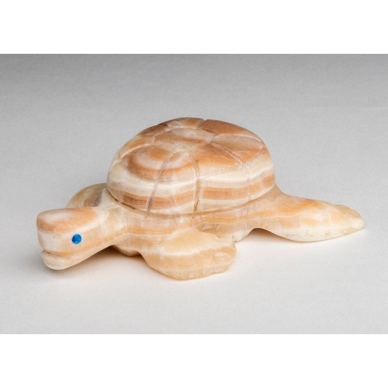 Shielding Turtle|Turtle|Onyx|Turtle|Onyx