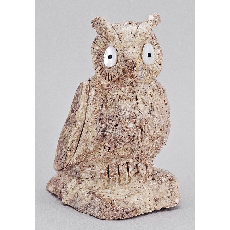 Visionary Owl of Cerrillos Turquoise