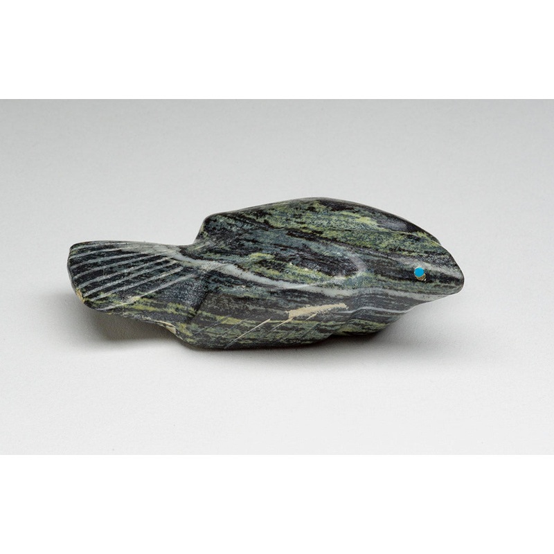 A Feathered Friend|Bird|Serpentine