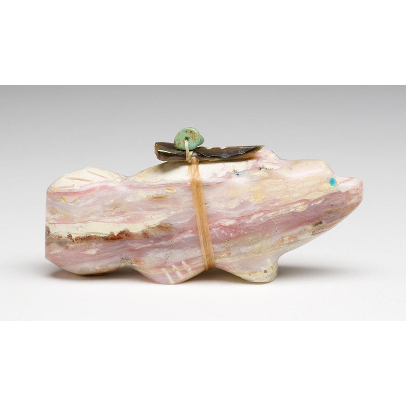 A Peruvian Opal Canine|Bushytail|Peruvian Opal